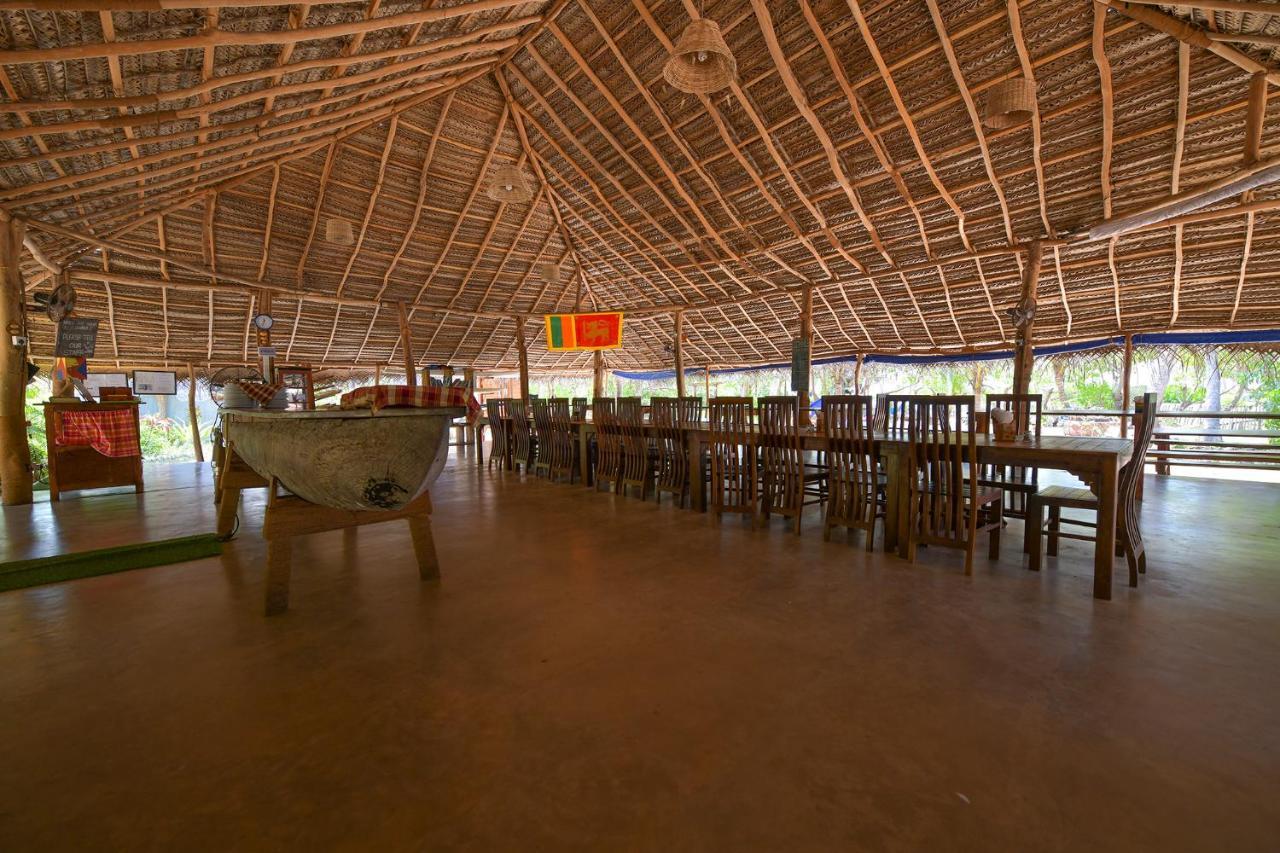 Station touristique Kitesurfing Lanka