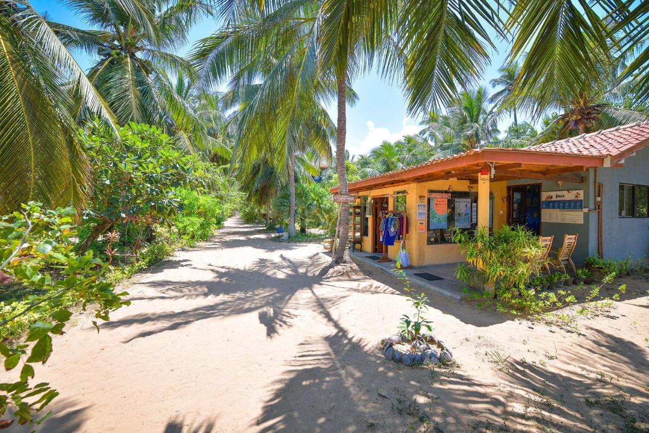 Station touristique Kitesurfing Lanka 2*